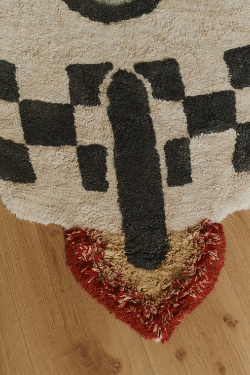 Washable Rug Rocket