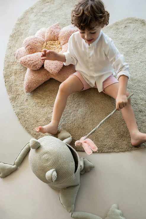 Basket Fred the Frog