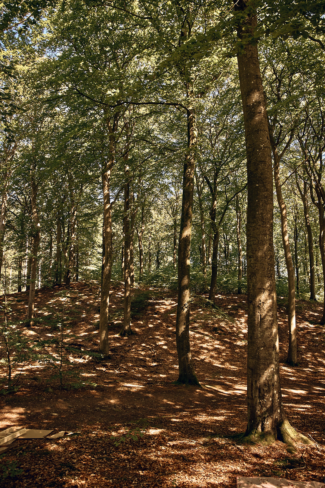 CLASSIC RAW Mid-high Bed, 90x200 cm, Pinewood